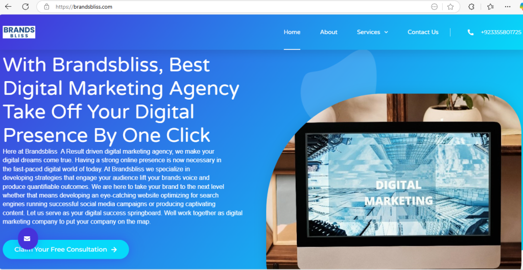 brandsbliss.com Digital Marketing Agency